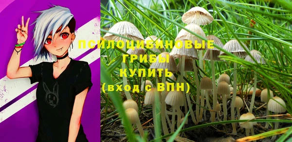 не бодяженный Тында