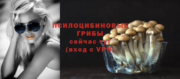 прущая мука Арсеньев