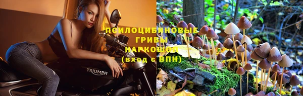 метамфетамин Аркадак