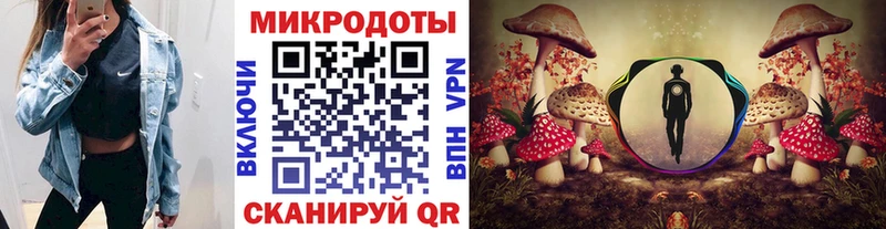 купить   Озёрск  Галлюциногенные грибы GOLDEN TEACHER 